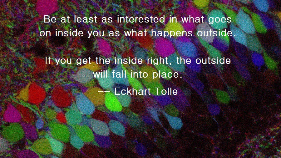 "If you get the inside right, the outside will fall into place" - Eckhart Tolle
